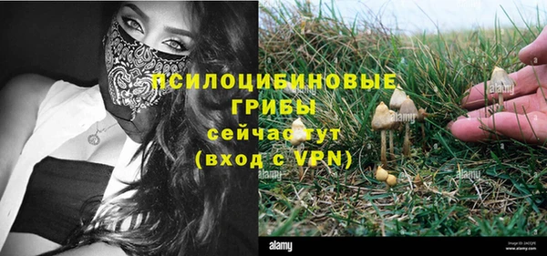 молекула духа Алексин