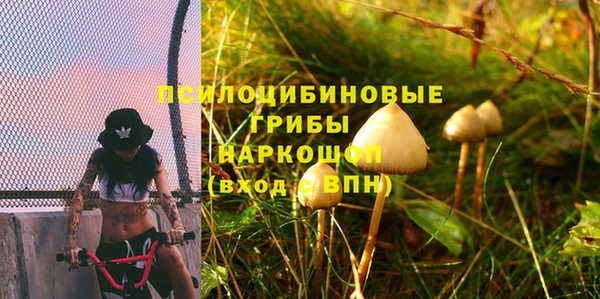 молекула духа Алексин