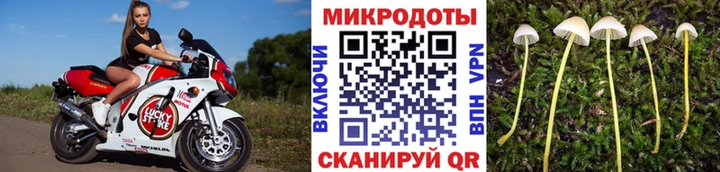 Галлюциногенные грибы Magic Shrooms  Сельцо 